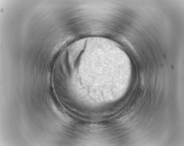 X0000088650542200706221613