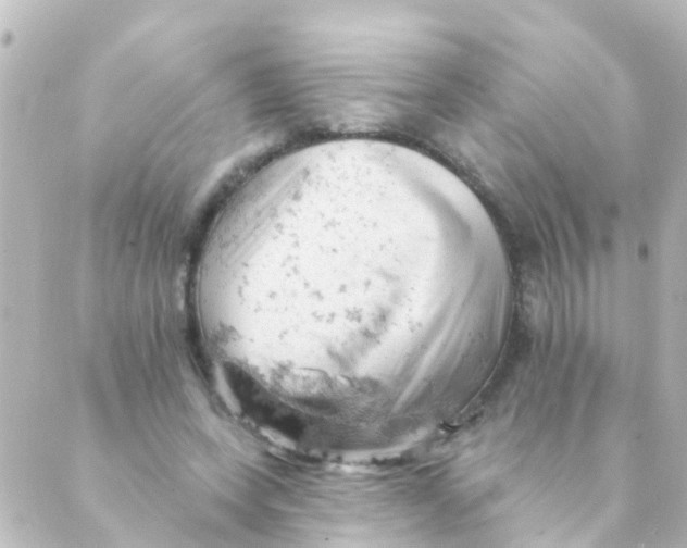 X0000088650543200706221613