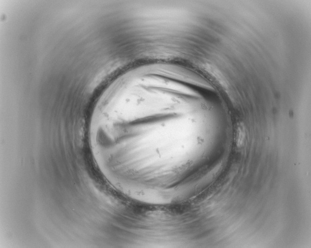 X0000088650544200706221613