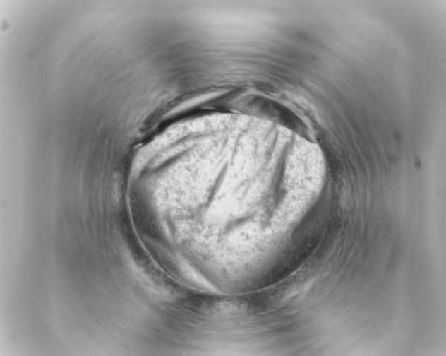 X0000088650546200706221613