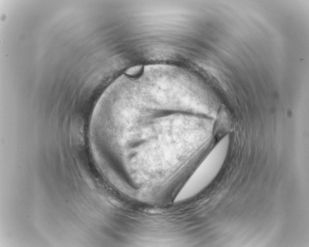 X0000088650547200706221613