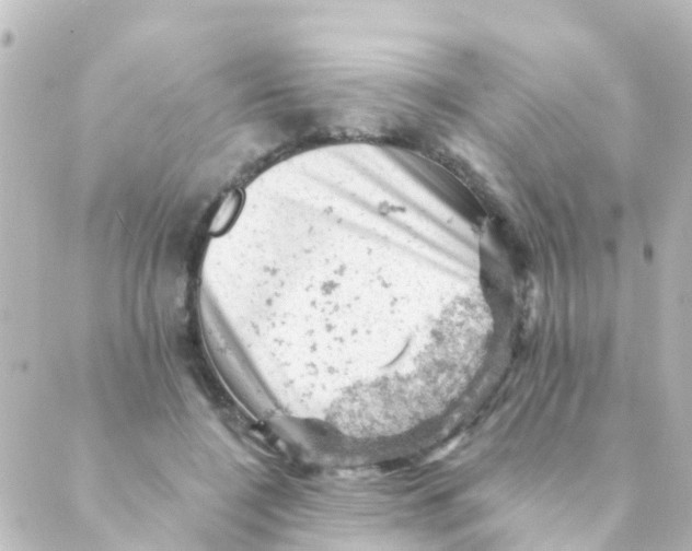 X0000088650548200706221613