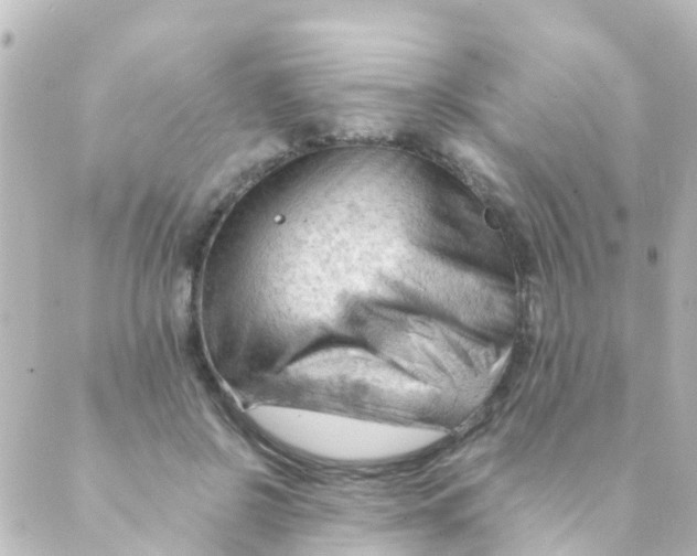 X0000088650550200706221613