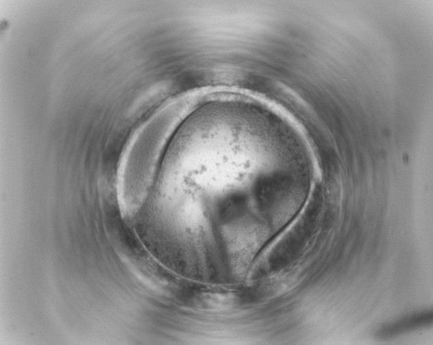 X0000088650552200706221613