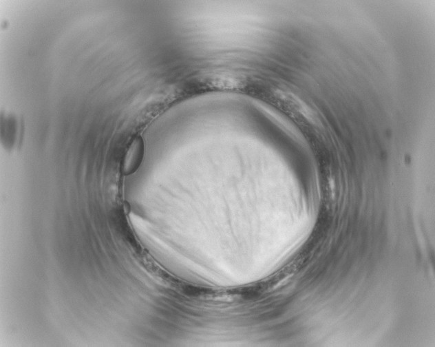 X0000088650553200706221613