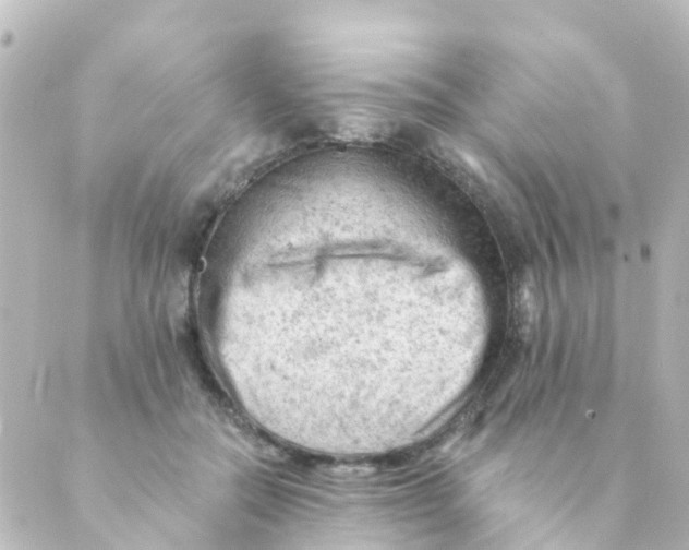 X0000088650554200706221613