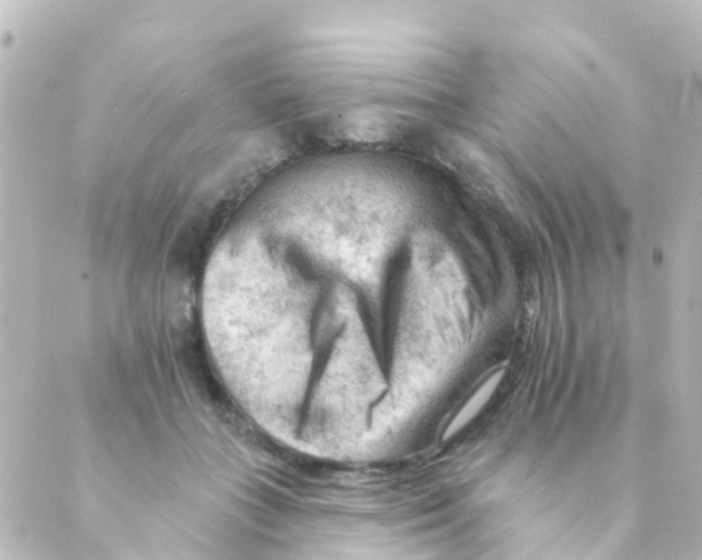 X0000088650555200706221613