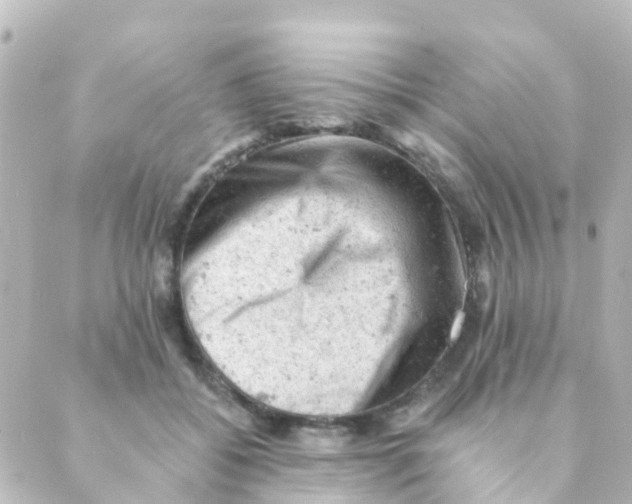 X0000088650556200706221613