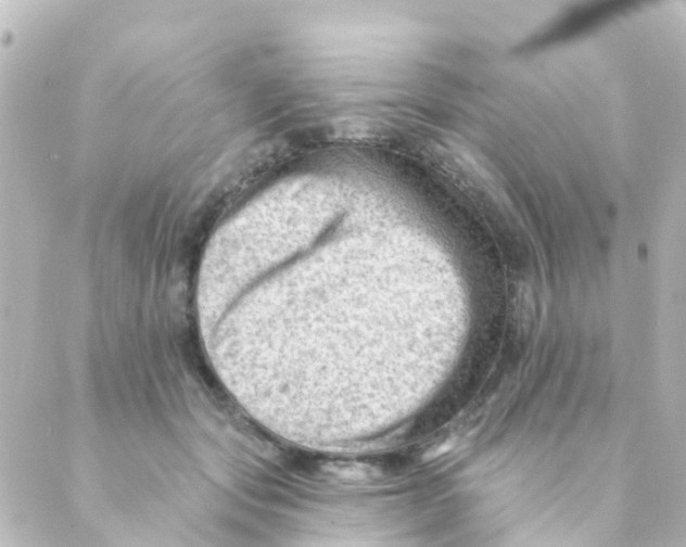 X0000088650557200706221613