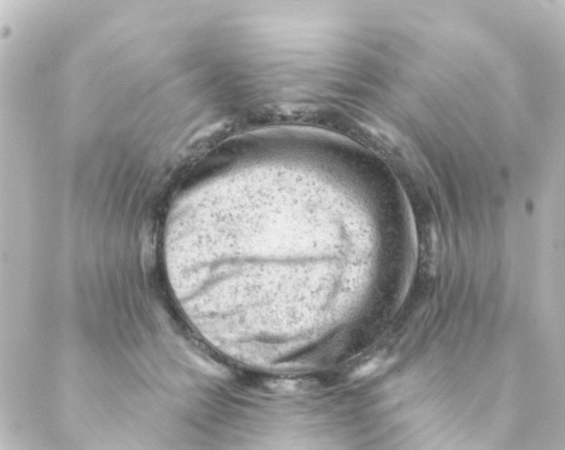 X0000088650558200706221613