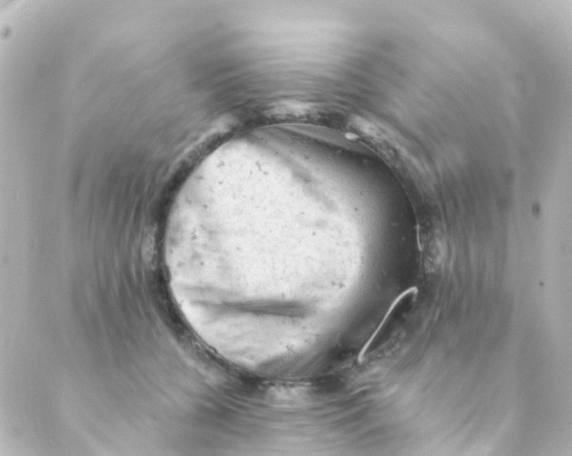 X0000088650560200706221613