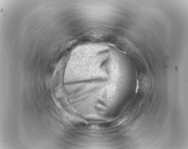 X0000088650562200706221613