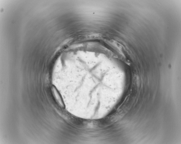 X0000088650564200706221613