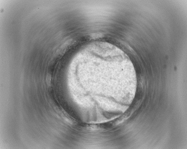 X0000088650565200706221613