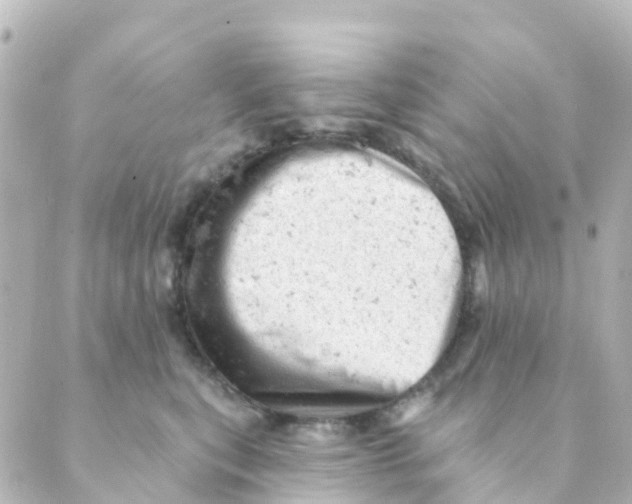 X0000088650567200706221613