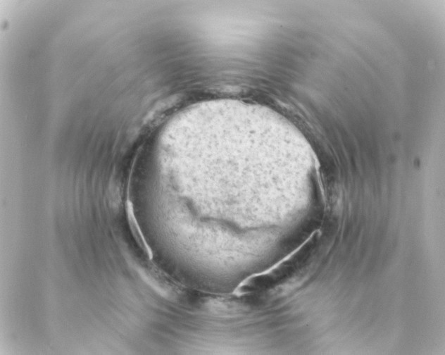 X0000088650568200706221613