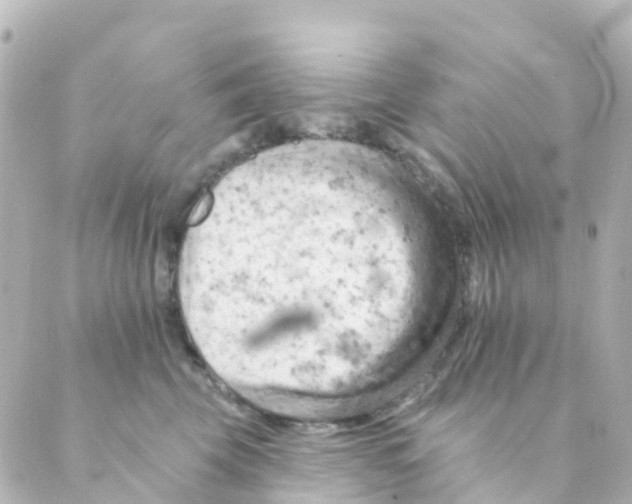 X0000088650569200706221613