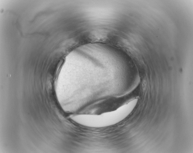 X0000088650570200706221613