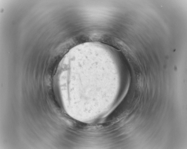 X0000088650571200706221613