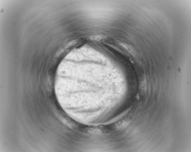 X0000088650572200706221613