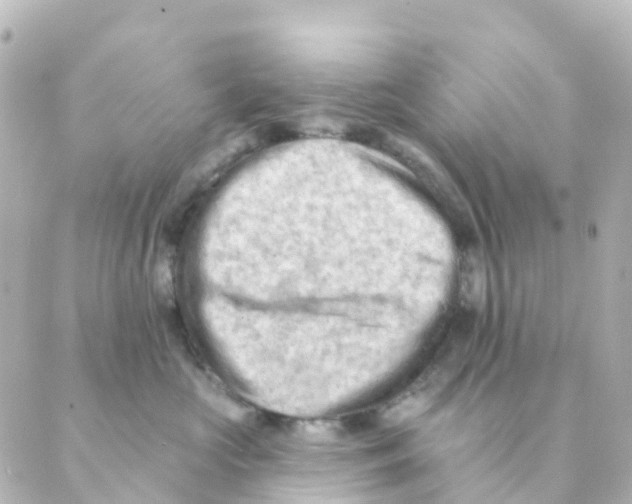 X0000088650573200706221613