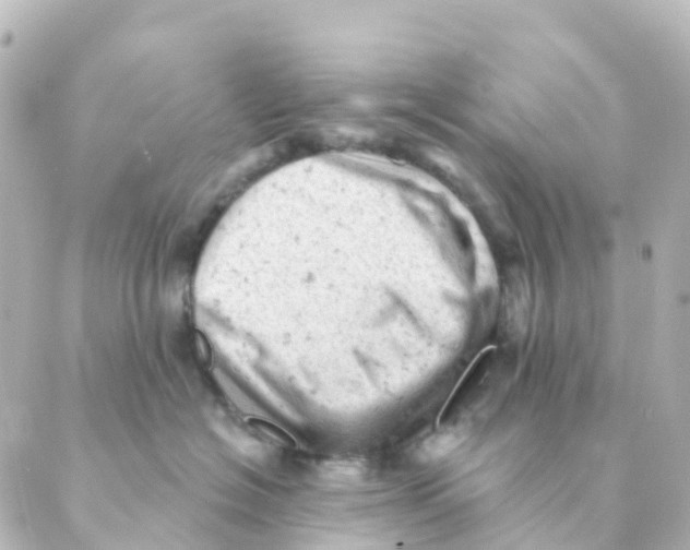 X0000088650574200706221613