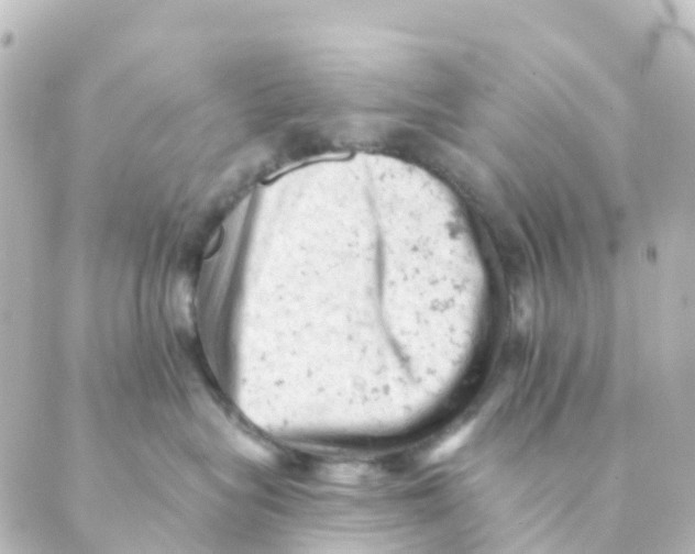 X0000088650575200706221613