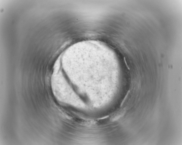 X0000088650576200706221613