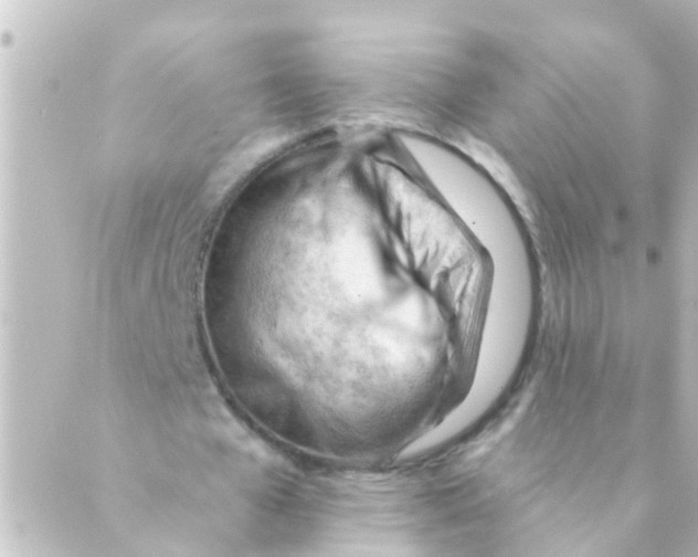 X0000088650577200706221613