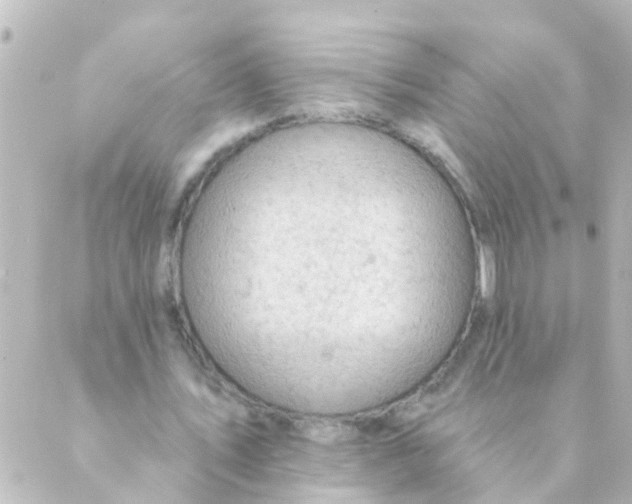 X0000088650579200706221613