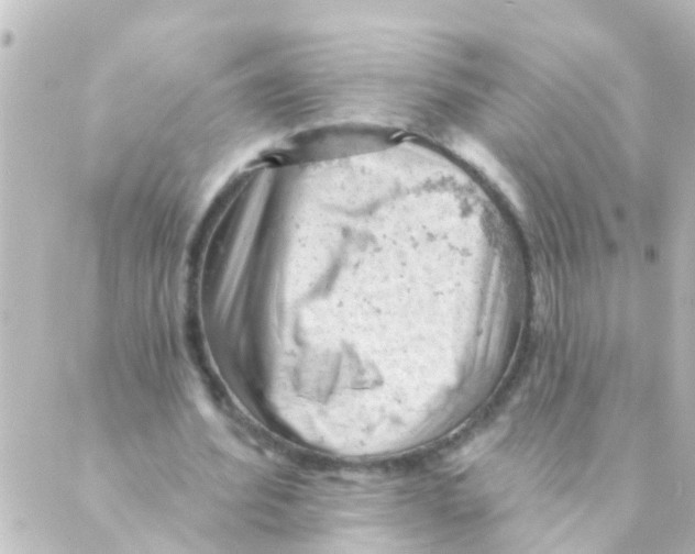 X0000088650580200706221613