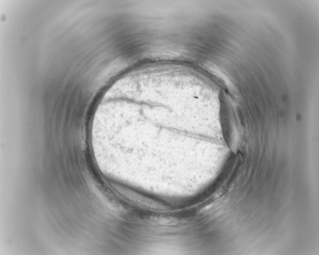 X0000088650582200706221613