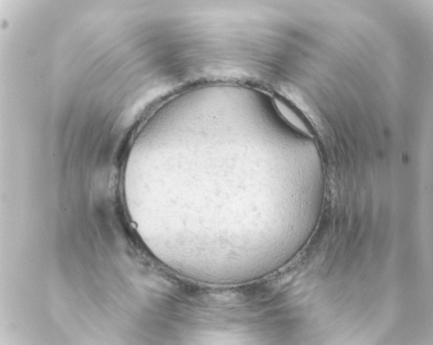 X0000088650583200706221612