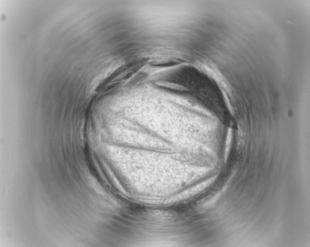 X0000088650585200706221612