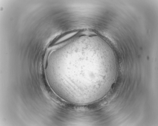 X0000088650587200706221612