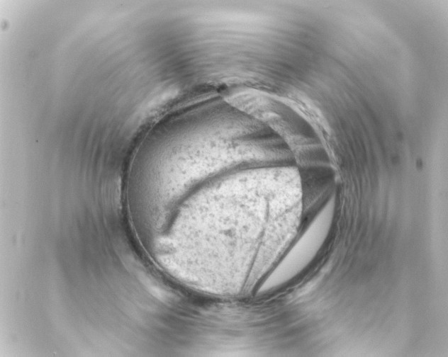 X0000088650589200706221612