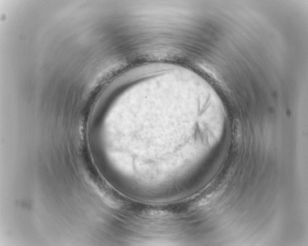 X0000088650590200706221612