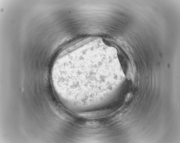 X0000088650591200706221612