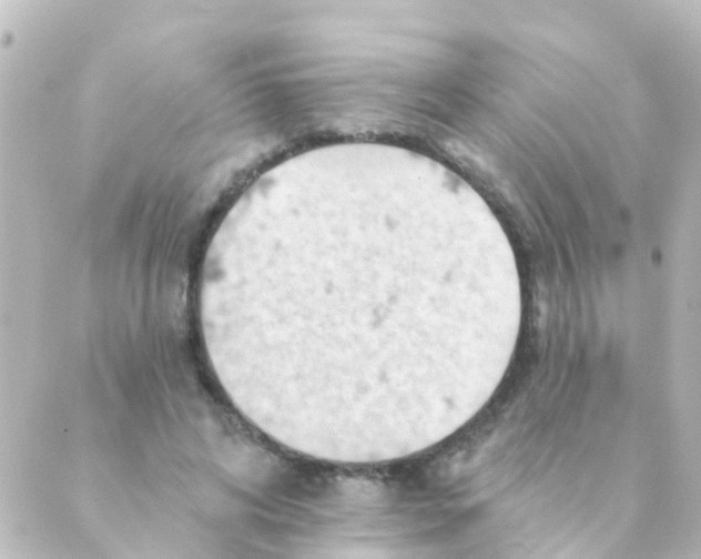 X0000088650592200706221612