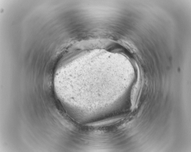 X0000088650593200706221612