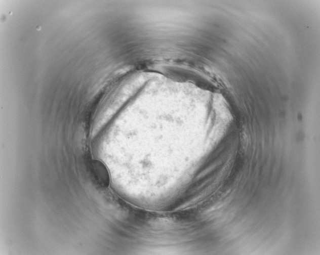 X0000088650594200706221612