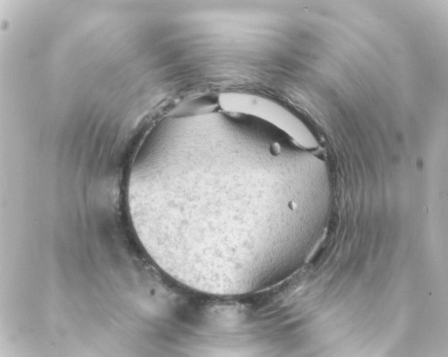 X0000088650595200706221612