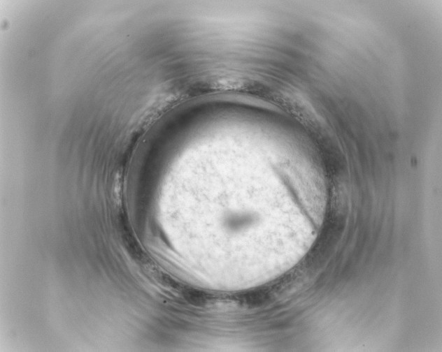 X0000088650598200706221612