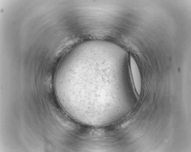 X0000088650599200706221612