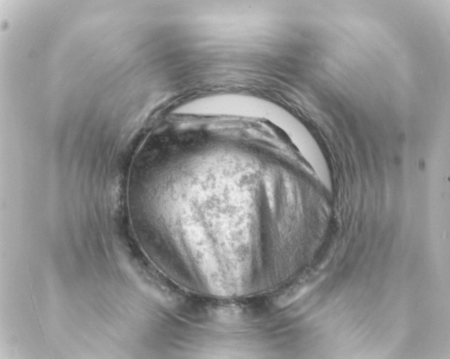 X0000088650600200706221612