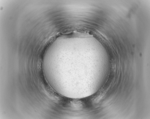 X0000088650603200706221612