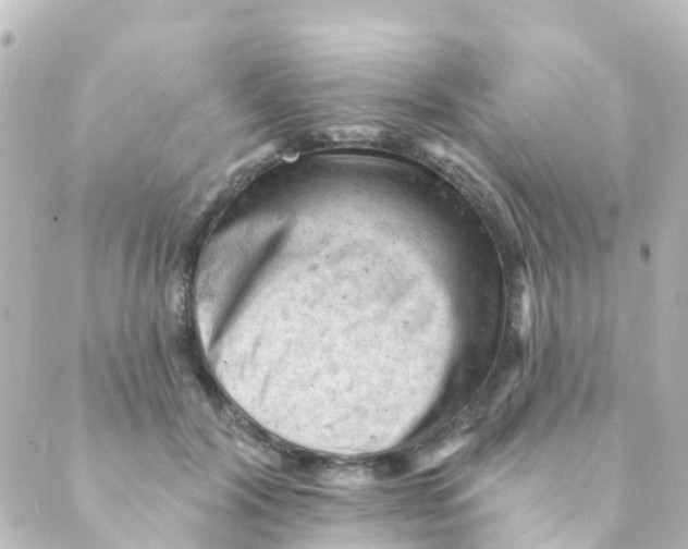 X0000088650604200706221612