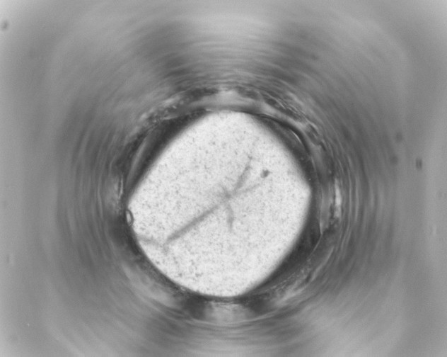 X0000088650605200706221612