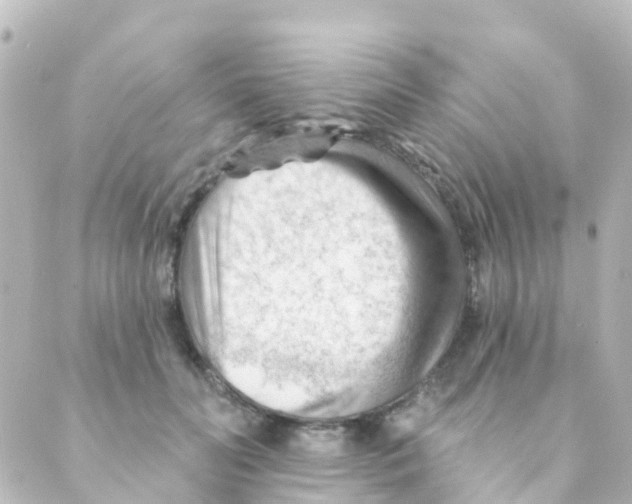 X0000088650606200706221612