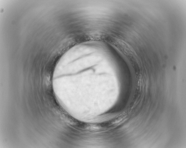 X0000088650610200706221612